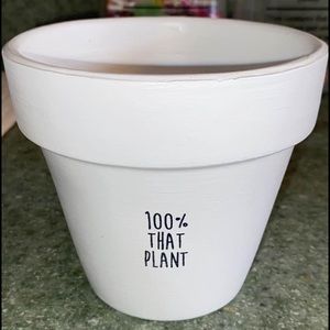 5in. Terracotta Plant Pot w/ Holder